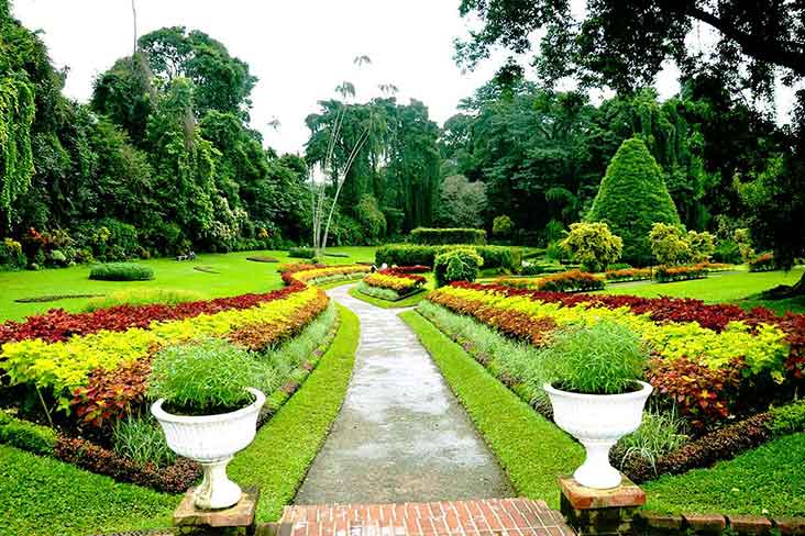 Peradeniya Botanical Garden